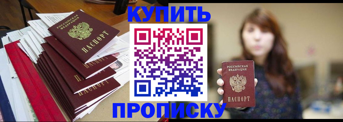 прописка поиск в Курске